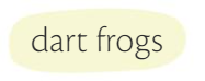 Dart frogs nombre.png